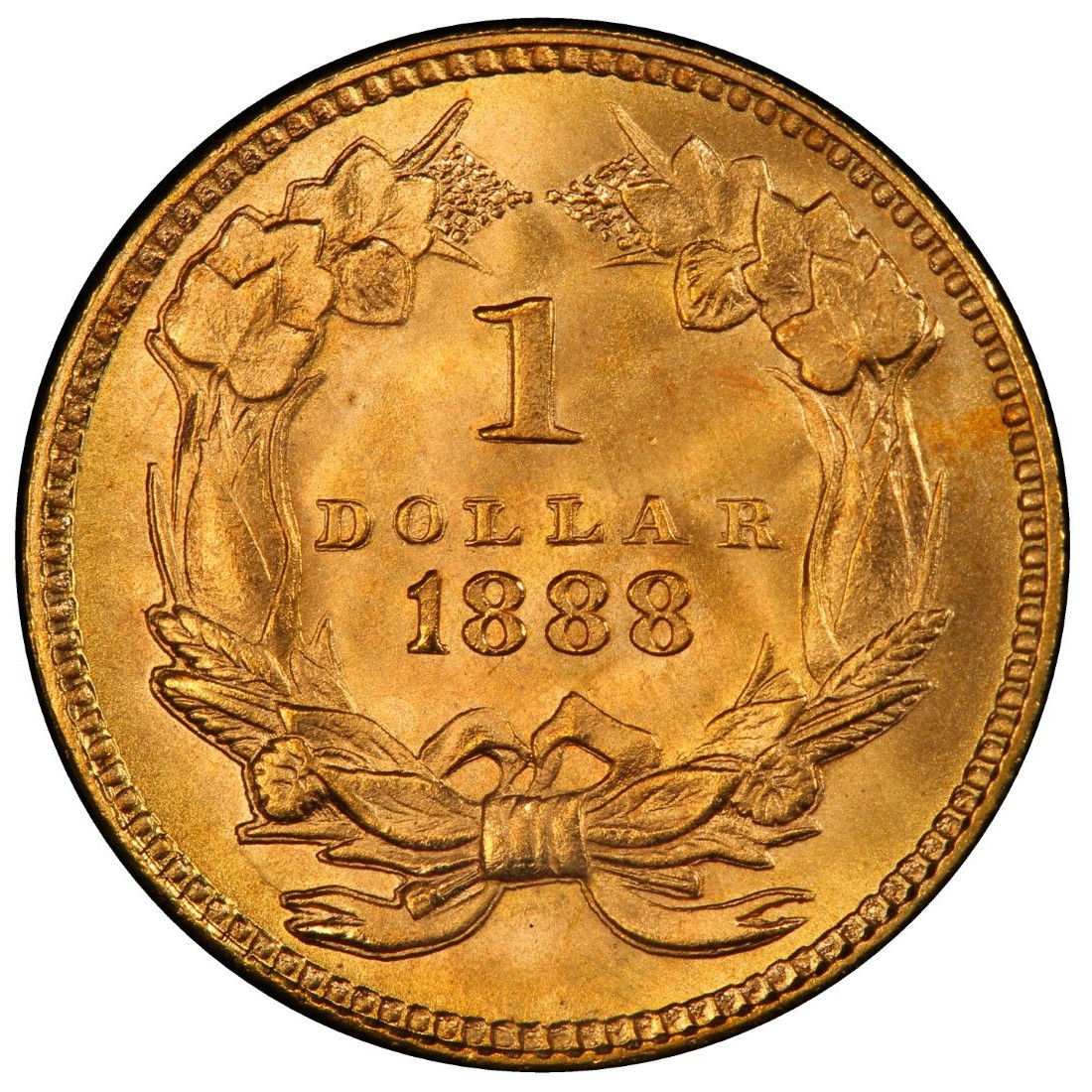 1888 Large Head Indian Princess Gold Dollar Values and ...