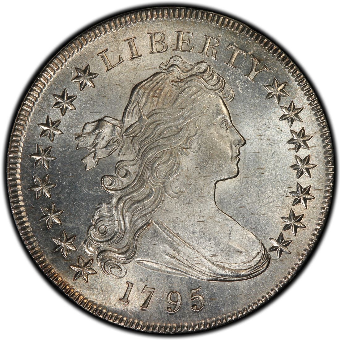 Deceptive Counterfeit 1795 Flowing Hair Dollar