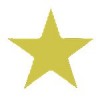 USA Gold Logo