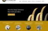 Fisher Precious Metals Website