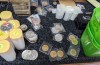 Oakton Coins &amp; Collectibles