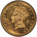 1878 Large Head Indian Princess Gold Dollar