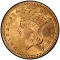 1887 Large Head Indian Princess Gold Dollar