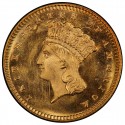 1867 Large Head Indian Princess Gold Dollar