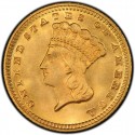 1870 Large Head Indian Princess Gold Dollar