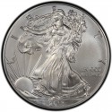 2013 American Silver Eagle Value