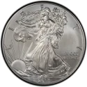 2013 American Silver Eagle Value