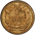 1884 Large Head Indian Princess Gold Dollar Values