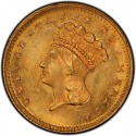 1865 Large Head Indian Princess Gold Dollar