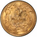 1887 Large Head Indian Princess Gold Dollar Values