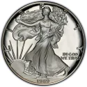 1989 American Silver Eagle Value