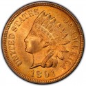 1891 Indian Head Pennies