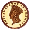 1882 Large Head Indian Princess Gold Dollar