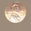 2024 penny error on not??