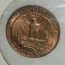 Coppery Quarter