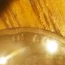 1917 ddo?