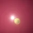 California gold 1853 token