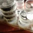 where can i get my coins checked for errors and valued