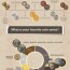 Coin Survey