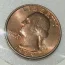 Coppery Quarter