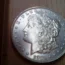 morgan dollars