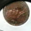 CM180511-160550024
