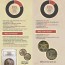 Value Coin Survey